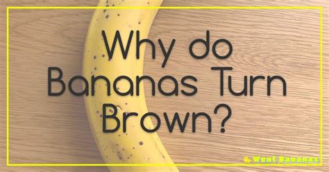 What Does VST Stand for in Music? And Why Do Bananas Sound Better in Minor Keys?